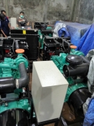 Proyek Diesel Pump